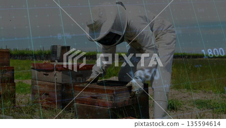 Beekeeper in protective suit, gloves crouching over hive box in farm field with bee smoker Beekeeper in protective suit, gloves crouching over hive box in farm field with bee smoker 135594614