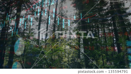 Displaying tree trunks and shrubs in temperate woodland, with colored bar charts and line graphs 135594791