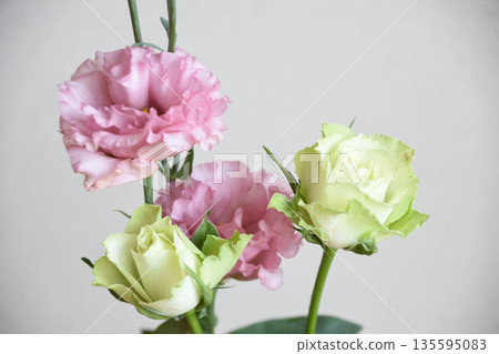 Roses and Turkish bellflowers Roses and Turkish bellflowers 135595083