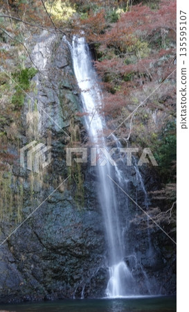 Beautiful waterfall 135595107