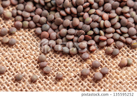 Scattered dry lentil grains on rough jute cloth close up Scattered dry lentil grains on rough jute cloth close up 135595252