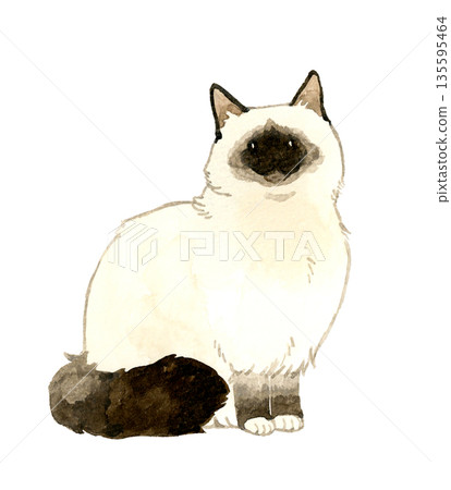 Sitting long-haired cat with point color - Hand-drawn watercolor illustration of pets and animals Sitting long-haired cat with point color - Hand-drawn watercolor illustration of pets and animals 135595464