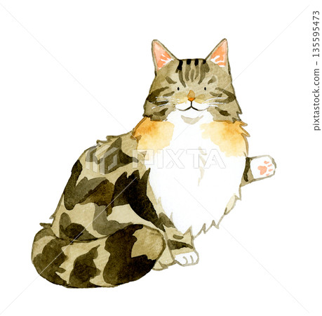 挪威森林貓坐著，指著什麼東西。手繪水彩寵物動物插畫。 135595473