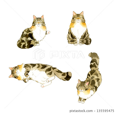 Norwegian Forest Cat Set - Hand-drawn Watercolor Illustrations of Pets and Animals 135595475