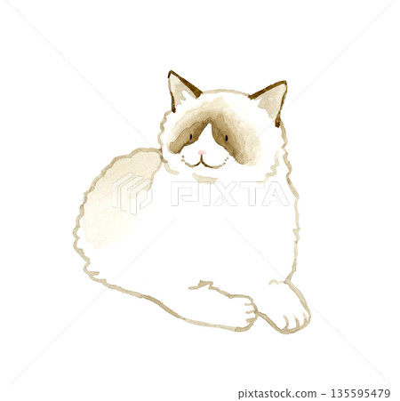 一隻雙色布偶貓躺著休息。手繪水彩寵物或動物插畫。 135595479