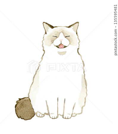 坐著哭泣的雙色布偶寵物/動物手繪水彩插圖 坐著哭泣的雙色布偶寵物/動物手繪水彩插圖 135595481