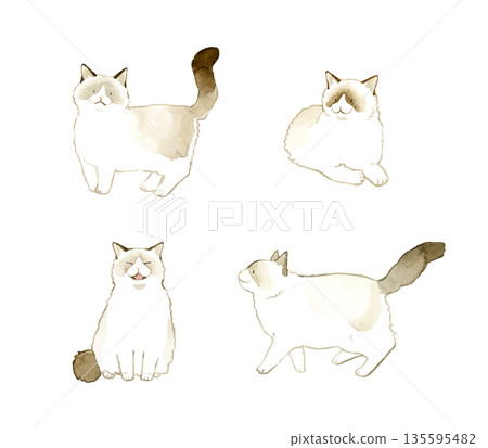 Set of two-colored ragdolls. Hand-drawn watercolor illustrations of pets and animals. 135595482