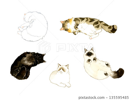 A set of various types of long-haired cats sleeping and relaxing. Hand-drawn watercolor illustrations of pets and animals. 135595485