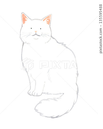 Sitting white long-haired cat. Hand-drawn watercolor illustration of pets and animals. Sitting white long-haired cat. Hand-drawn watercolor illustration of pets and animals. 135595488