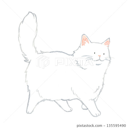 Walking white long-haired cat. Hand-drawn watercolor illustration of pets and animals. Walking white long-haired cat. Hand-drawn watercolor illustration of pets and animals. 135595490