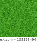 Green grass field background top view for soccer, golf, baseball, football. Realistic summer fresh lawn carpet. Green field wallpaper. Vector illustration 135595494