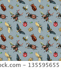 Watercolor insect pattern with beetles moths bumblebee and ladybug on gray background for fabric wallpaper 135595655