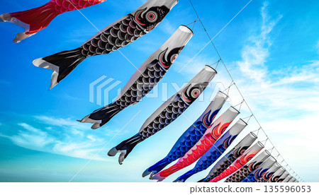 鯉魚旗、藍天、五月、兒童節、男孩節，許多鯉魚旗祈願成長，日本傳統節日，背景素材 135596053