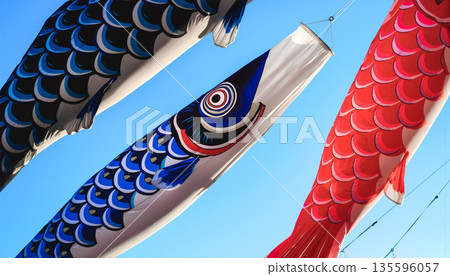 A close-up of a carp streamer shining against the blue sky. Children's Day, Boy's Day, traditional May event. Background and design material. 135596057