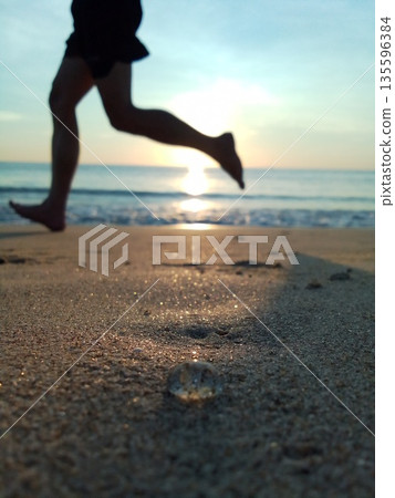 Jellyfish on the beach Sunrise in Da Nang 135596384