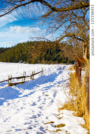 rustic wooden fence through snow covered hill. beautiful view on winter sunny morning in carpathian mountains. alpine village outskirts near forest in rural landscape. remote countryside of ukraine rustic wooden fence through snow covered hill. beautiful view on winter sunny morning in carpathian mountains. alpine village outskirts near forest in rural landscape. remote countryside of ukraine 135596955
