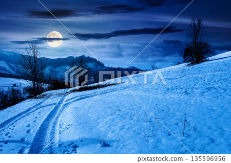 winter landscape with snow covered forested hills at night. mountains in cold weather in full moon light. rural scene. christmas holidays in alpine region. backdrop for fiction art or mystery concepts 135596956