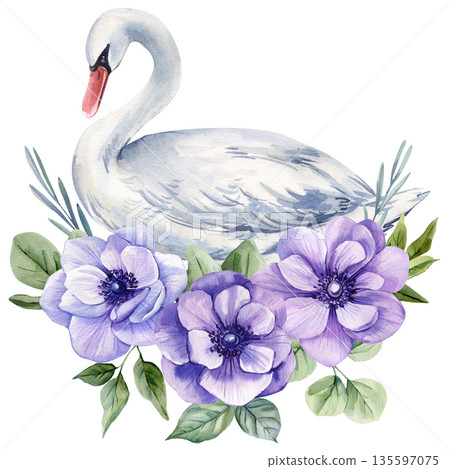 Watercolor white swan with purple anemone flowers and greenery, elegant romantic floral illustration isolated 135597075