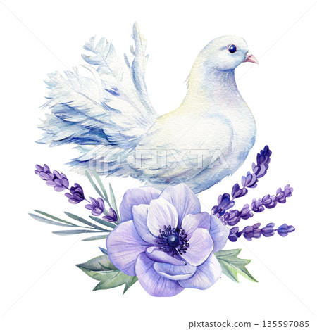 Watercolor white dove with lavender and purple anemone bouquet, peaceful floral bird illustration isolated 135597085