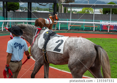 賽馬風光 賽馬風光 135597331