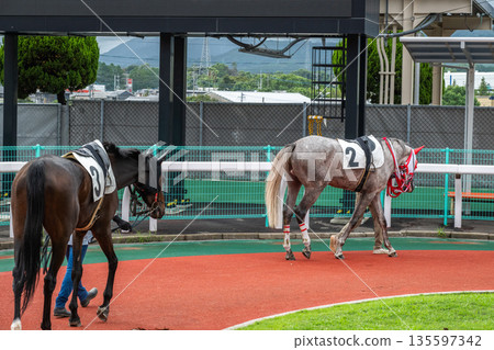 Horse racing scenery Horse racing scenery 135597342