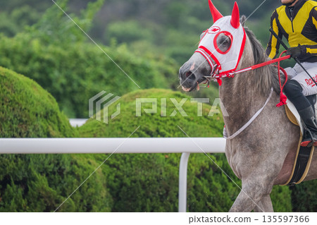 賽馬風光 賽馬風光 135597366
