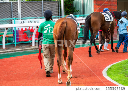 Horse racing scenery 135597389