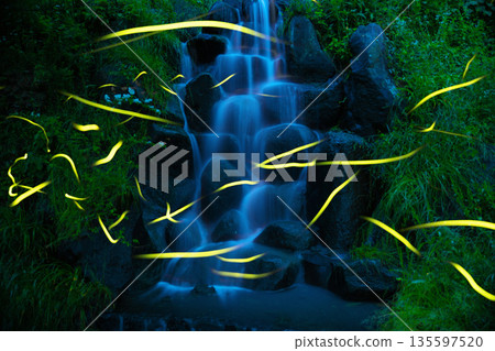 Fireflies flying near the waterfall 135597520