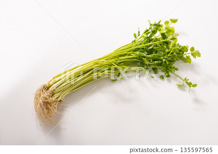 Sendai seri 135597565