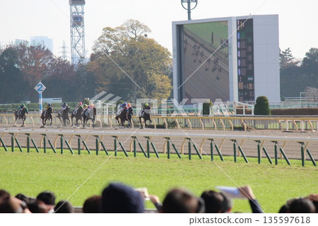 疾馳的賽馬和騎師 疾馳的賽馬和騎師 135597618