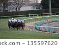 Race scene at the racetrack 135597620