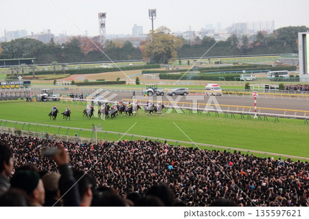 疾馳的賽馬和騎師 疾馳的賽馬和騎師 135597621