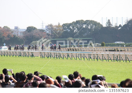 疾馳的賽馬和騎師 疾馳的賽馬和騎師 135597623