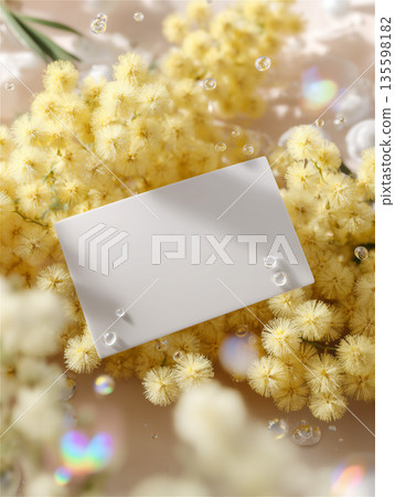 Yellow mimosa flowers and white message card background Yellow mimosa flowers and white message card background 135598182