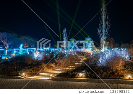 Gunma Flower Park Winter Illuminations 135598521