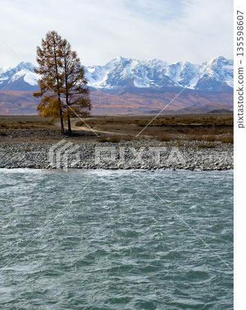 Lone tree by a rocky riverbank with snow capped mountains in autumn landscape Lone tree by a rocky riverbank with snow capped mountains in autumn landscape 135598607