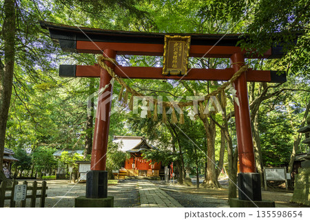 Torii gate of Hikawa Metai Shrine, Saitama City, Saitama Prefecture Torii gate of Hikawa Metai Shrine, Saitama City, Saitama Prefecture 135598654