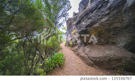 Vereda dos Balcoes PR11 Mountain Footpath, Madeira, Portugal Vereda dos Balcoes PR11 Mountain Footpath, Madeira, Portugal 135598767