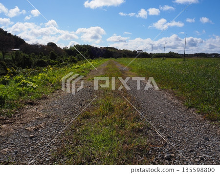 Nostalgic landscape 135598800