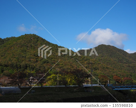 Nostalgic landscape 135598810