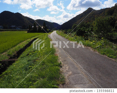 Nostalgic landscape 135598811