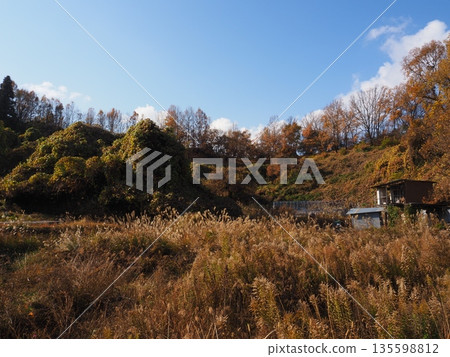 Nostalgic landscape 135598812