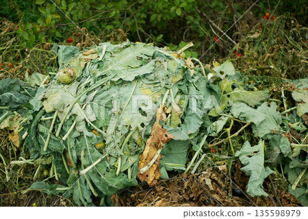 Composting organic domestic waste, trash of vegetables cabbage kohlrabi bio kale and fruits from the garden and household compost. Waste management, conventional and emerging approaches. Valorization Composting organic domestic waste, trash of vegetables cabbage kohlrabi bio kale and fruits from the garden and household compost. Waste management, conventional and emerging approaches. Valorization 135598979