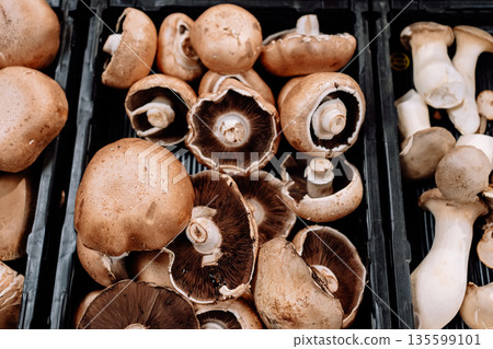 Fresh mushrooms displayed at grocery market. Concept of healthy food, organic products and vegetarian nutrition Fresh mushrooms displayed at grocery market. Concept of healthy food, organic products and vegetarian nutrition 135599101