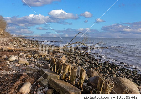 Driftwood and rocks on steep coast near Groemitz 135599442