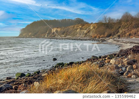 Steep cliff coast near Groemitz on the Baltic Sea 135599462