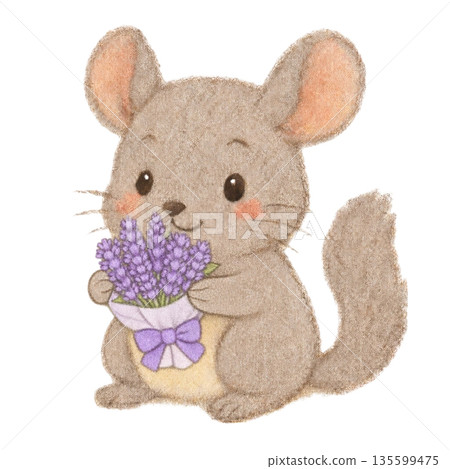 一幅用色鉛筆繪製的龍貓手持薰衣草的插圖 135599475