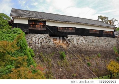 Kumamoto Castle, a place where history and nature coexist in harmony, and associated with Kato Kiyomasa (Kumamoto Prefecture) 135599593