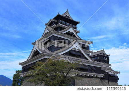 Kumamoto Castle, a place where history and nature coexist in harmony, and associated with Kato Kiyomasa (Kumamoto Prefecture) 135599613