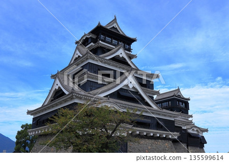 歷史與自然和諧共存的熊本城，與加藤清正（熊本縣）有著千絲萬縷的聯繫 135599614